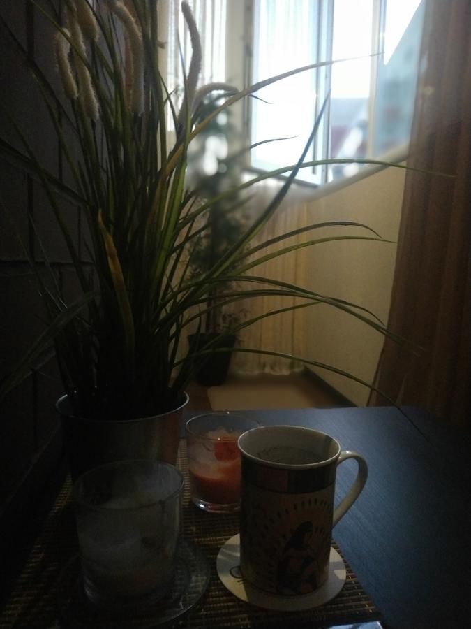 Апартаменты Studio on Morozova 11 Брест-45