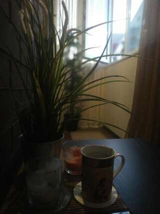 Апартаменты Studio on Morozova 11 Брест Апартаменты-студио-92